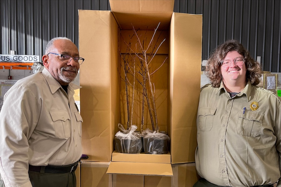 Two National Park Service ranges receive a box with a young cherry blossom tree.