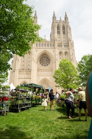 People dining outdoors on grass in front of a large cathedral on a sunny day