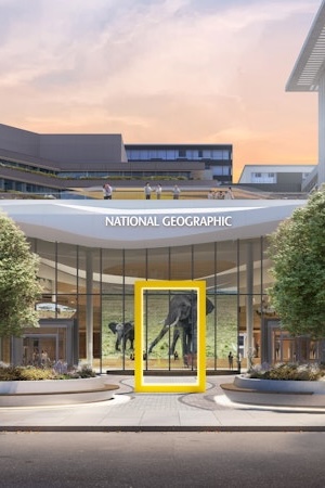 National Geographic building entrance with yellow-framed sign in front at sunset
