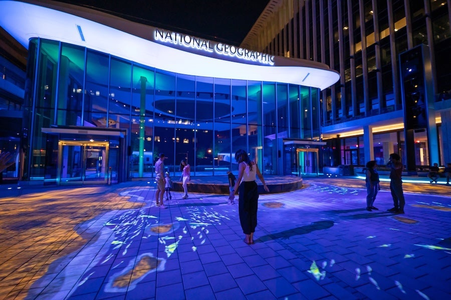 People walking through an immersive, virtual experience outside a lit modern building at night