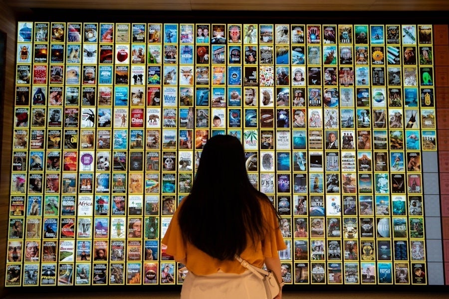 Woman with long hair viewing a wall-sized grid of colorful photos on display