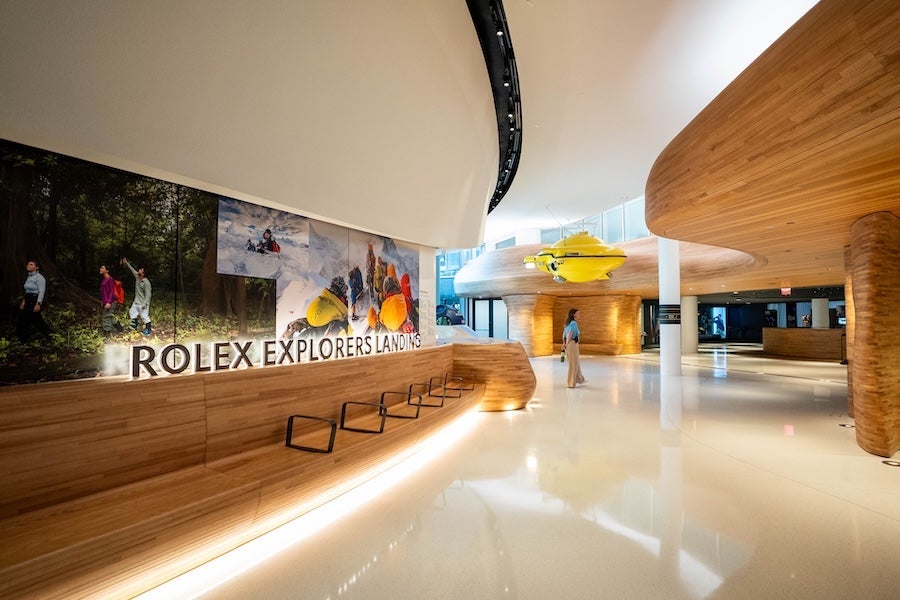 Modern lobby with wood walls, glossy floor and illuminated Rolex display