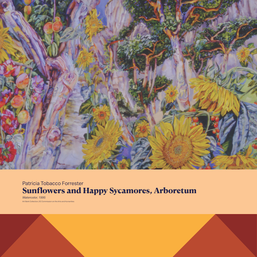 Colorful artwork of sunflowers and trees, titled “Sunflowers and Happy Sycamores, Arboretum”