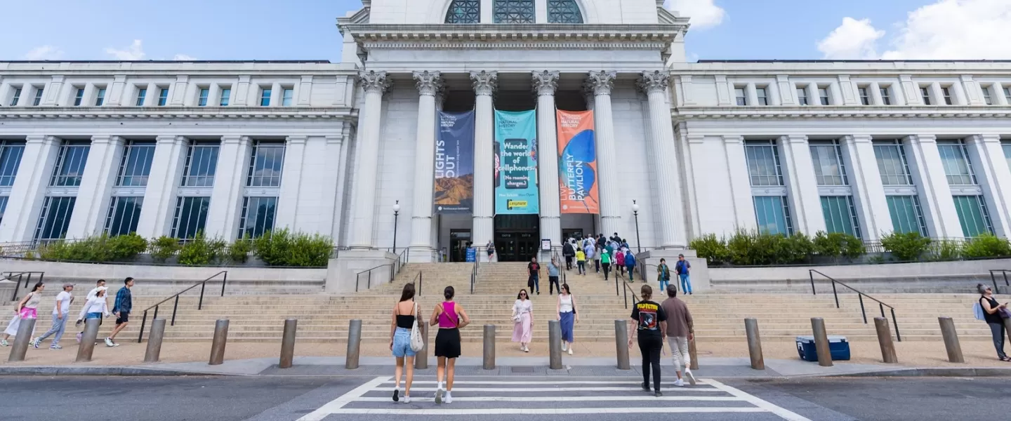 The exterior of the National Museum of Natural History in DC, with visitors ascending the grand stairs out front. 