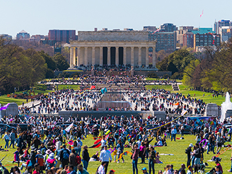 DC Kite Festival