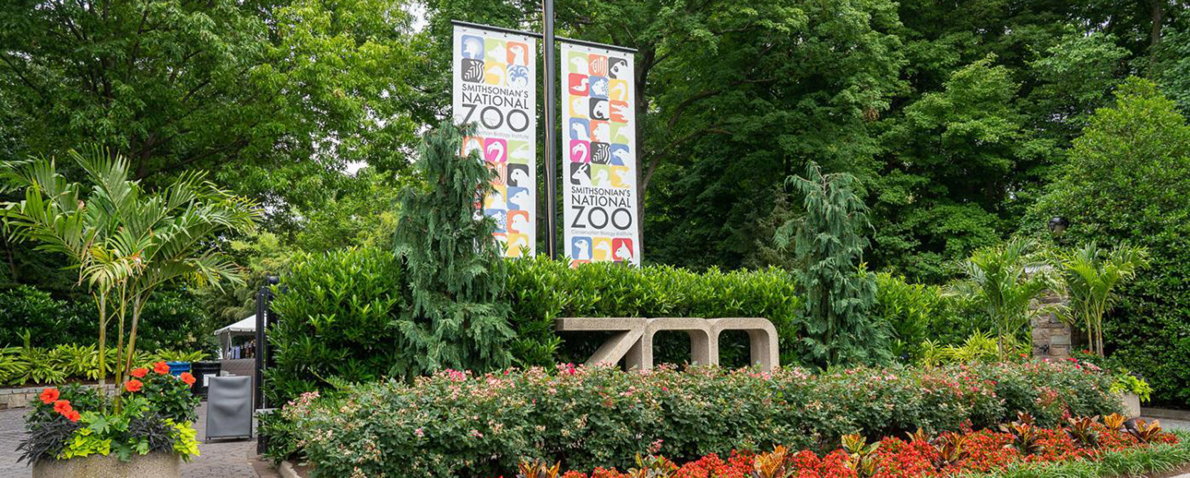 Visiting Smithsonian #39 s National Zoo in Washington DC Washington DC