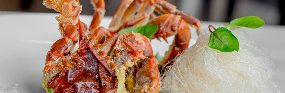 Soft Shell Crab at Teddy and The Bully Bar - Restaurants in Washington, DC